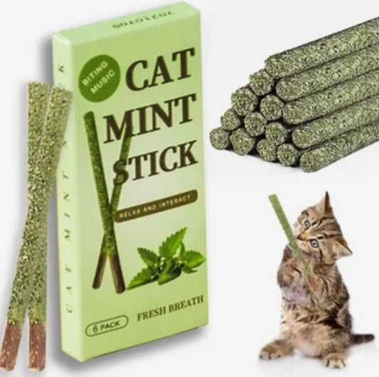 Cat mint sticks all natural catnip sticks